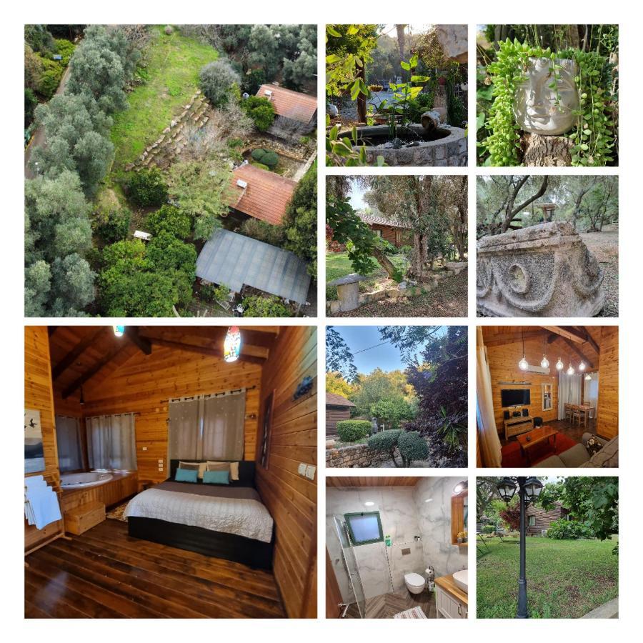 A Place To Dream Tsipori 外观 照片
